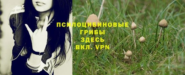 гидра Баксан