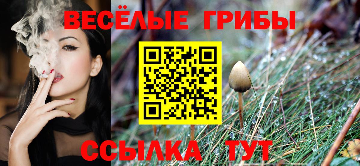 Псилоцибиновые грибы мицелий  Вход с VPN  Псилоцибиновые грибы Psilocybe  где купить   Семилуки 