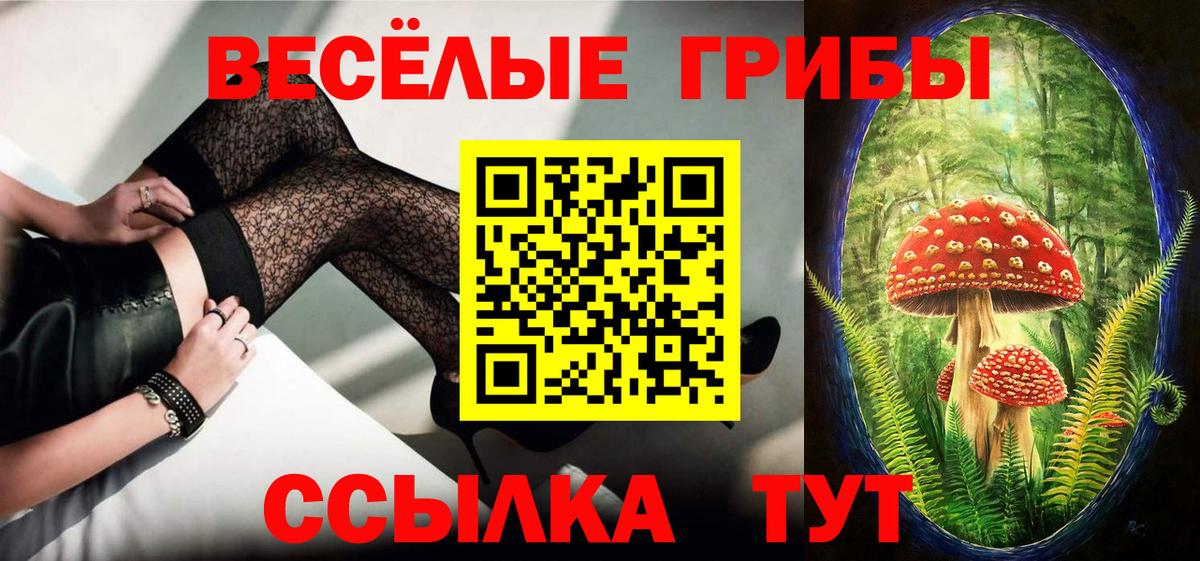 Галлюциногенные грибы прущие грибы Семилуки